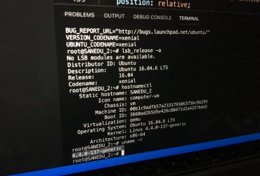 PRAKTIS!! Ini Cara Cek Versi Linux dan Distro yang Digunakan